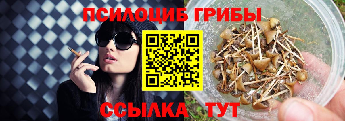 где купить   Вход с VPN  Иваново  Галлюциногенные грибы Cubensis  Псилоцибиновые грибы ЛСД 